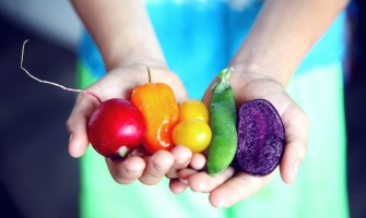 How to Choose Quality Agricultural Products: A Complete Consumer Guide